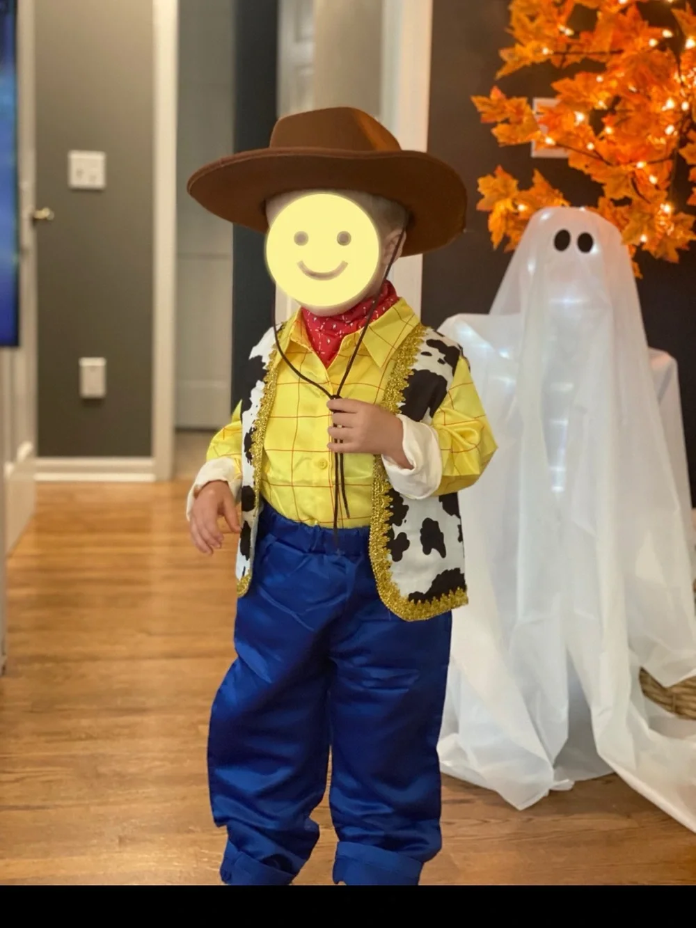 Worn Once | Woody Toy Story Costume Set - Toddler Size 120 (approx 6T)